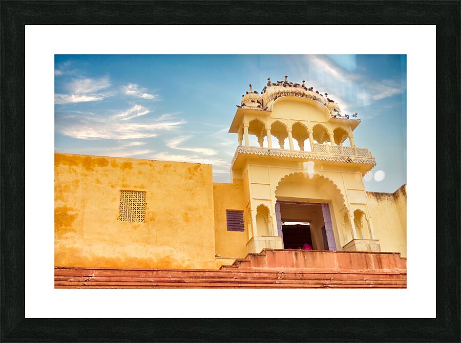 Pigeons on top Picture Frame print