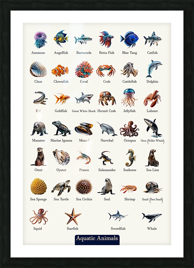 40 Aquatic Animals Picture Frame print
