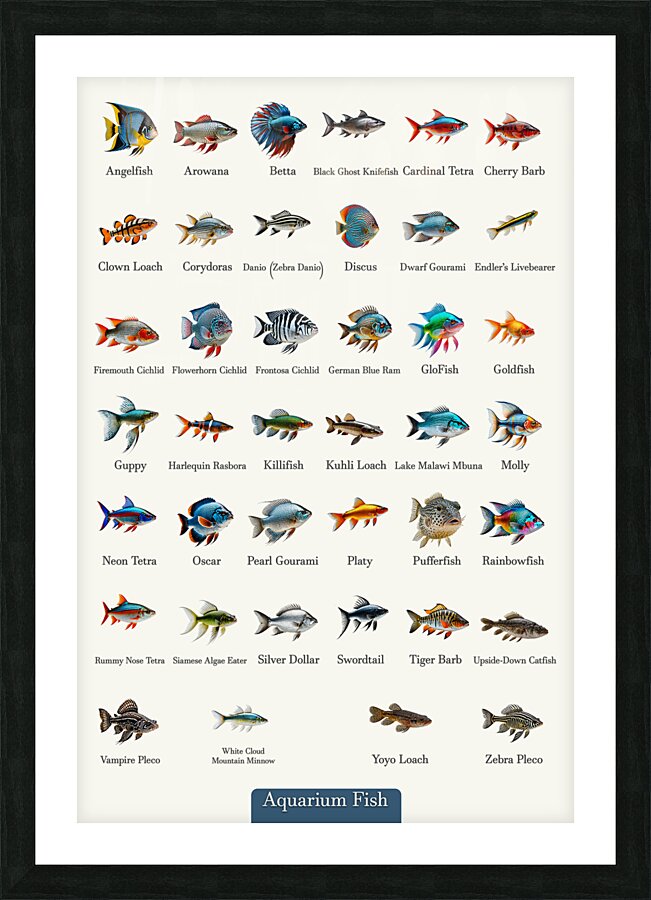 40 Aquarium Fish Picture Frame print