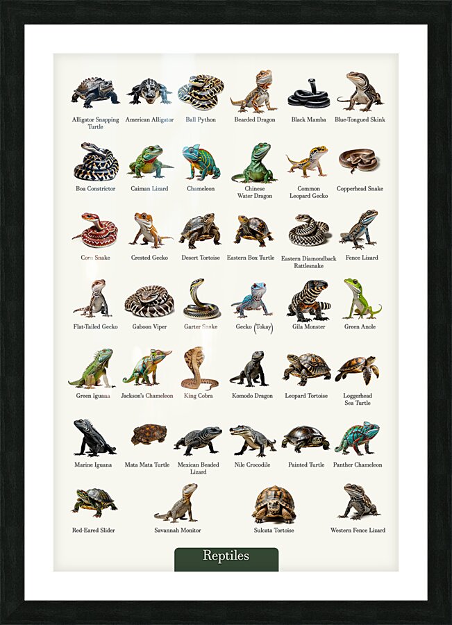 40 Reptiles Picture Frame print