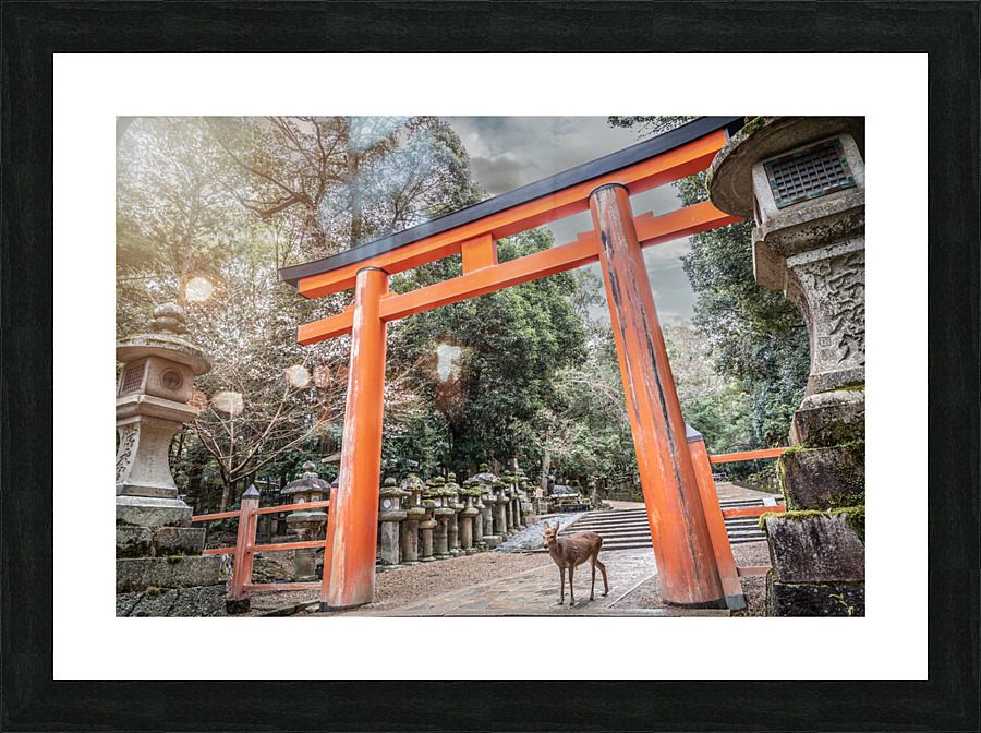 A Deer passing the gate Picture Frame print