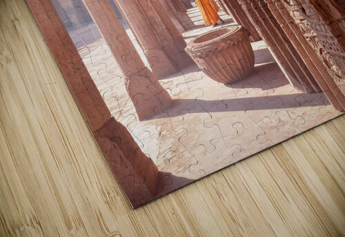 Orange Sari Dekel Bar puzzle