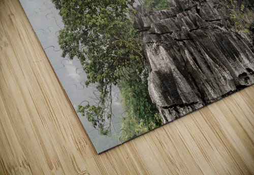 Mountain Pagoda Dekel Bar puzzle