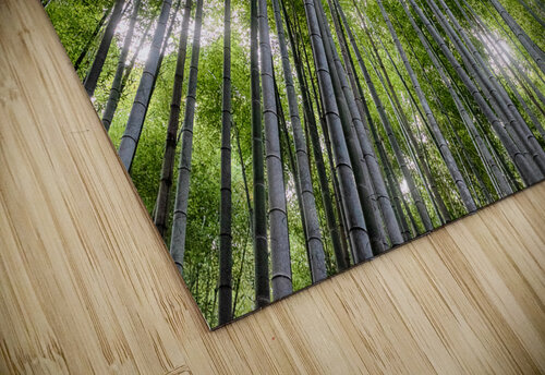 High Bamboo Trees Dekel Bar puzzle