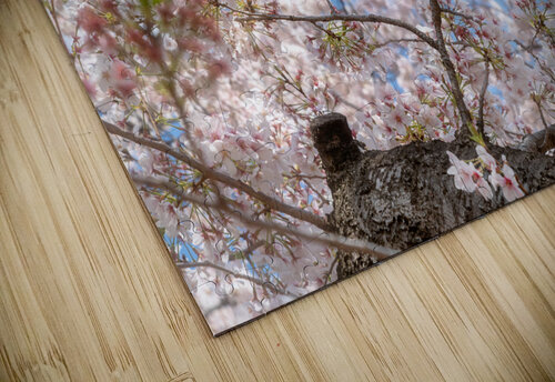 Cherry Flowers Dekel Bar puzzle