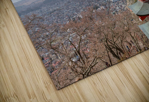 Mt. Fuji Dekel Bar puzzle