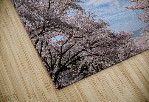 Only Blossom Dekel Bar puzzle