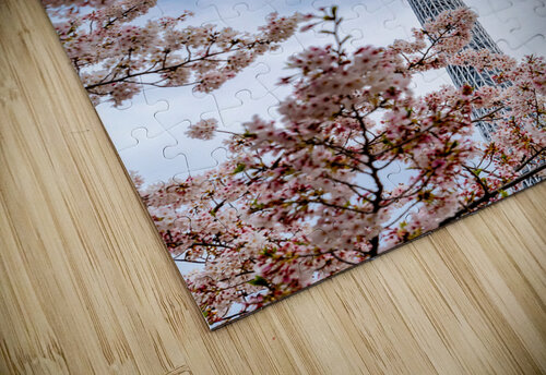 Cherry Skytree Dekel Bar puzzle