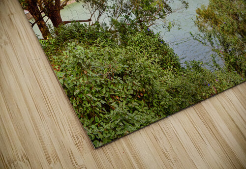 A Lake in Munnar Dekel Bar puzzle