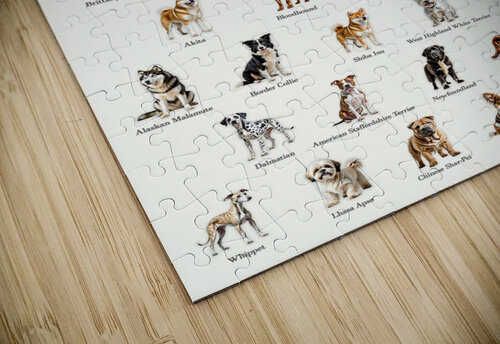 50 Dog Breeds Dekel Bar puzzle