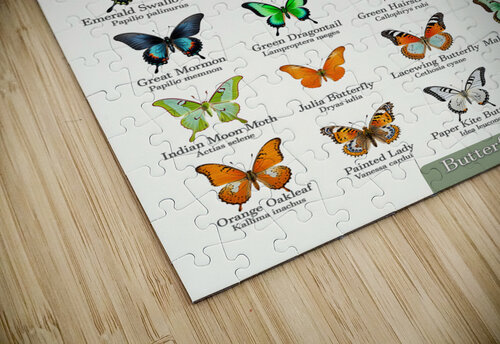 40 Beautiful Butterflies Dekel Bar puzzle