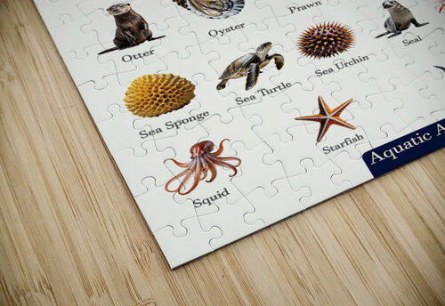 40 Aquatic Animals Dekel Bar puzzle