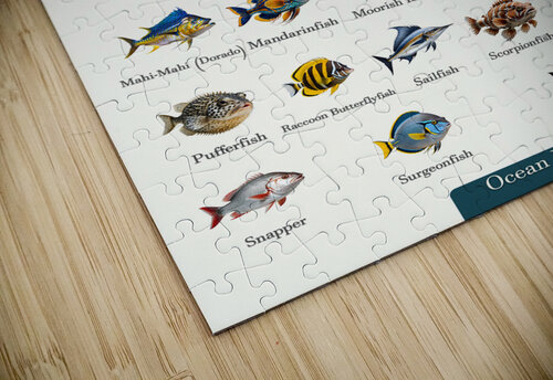 40 Ocean Fish Dekel Bar puzzle