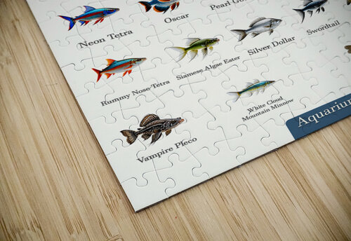 40 Aquarium Fish Dekel Bar puzzle
