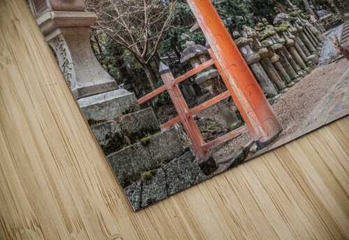 A Deer passing the gate Dekel Bar puzzle