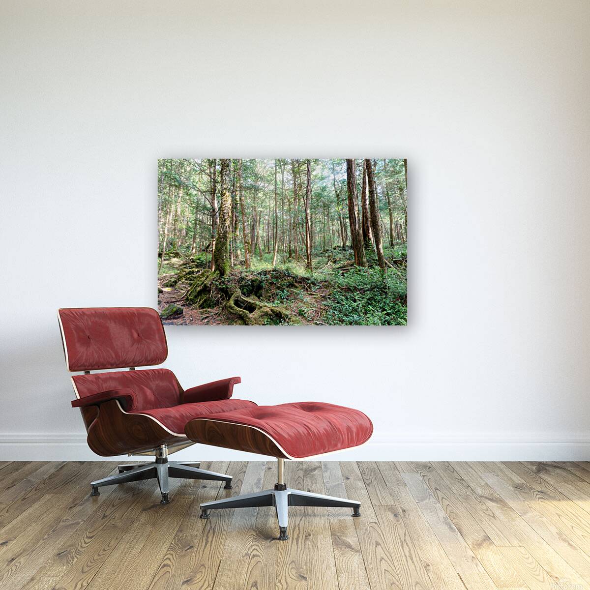 Mysterious Forest Reproduction