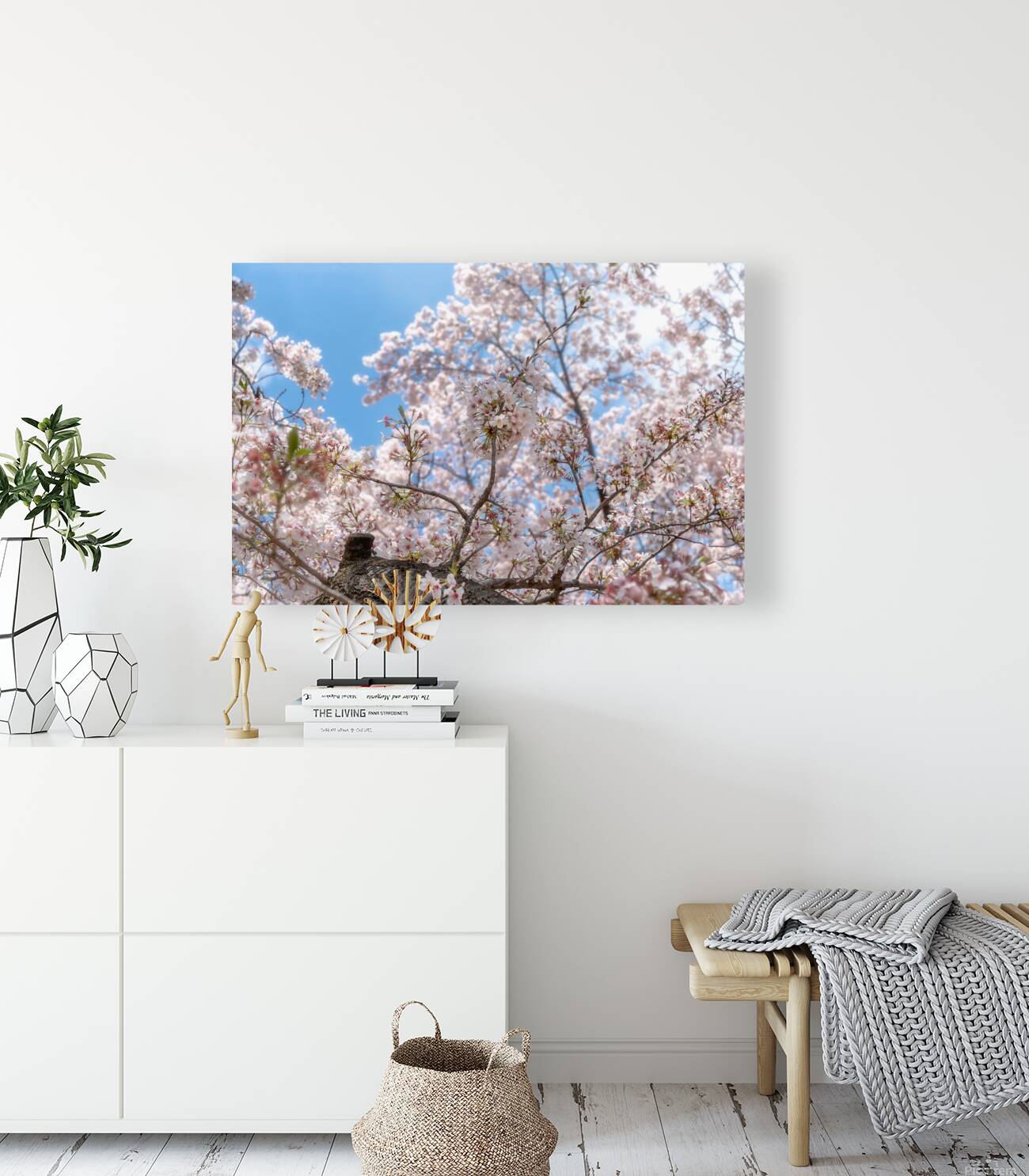 Cherry Flowers Reproduction