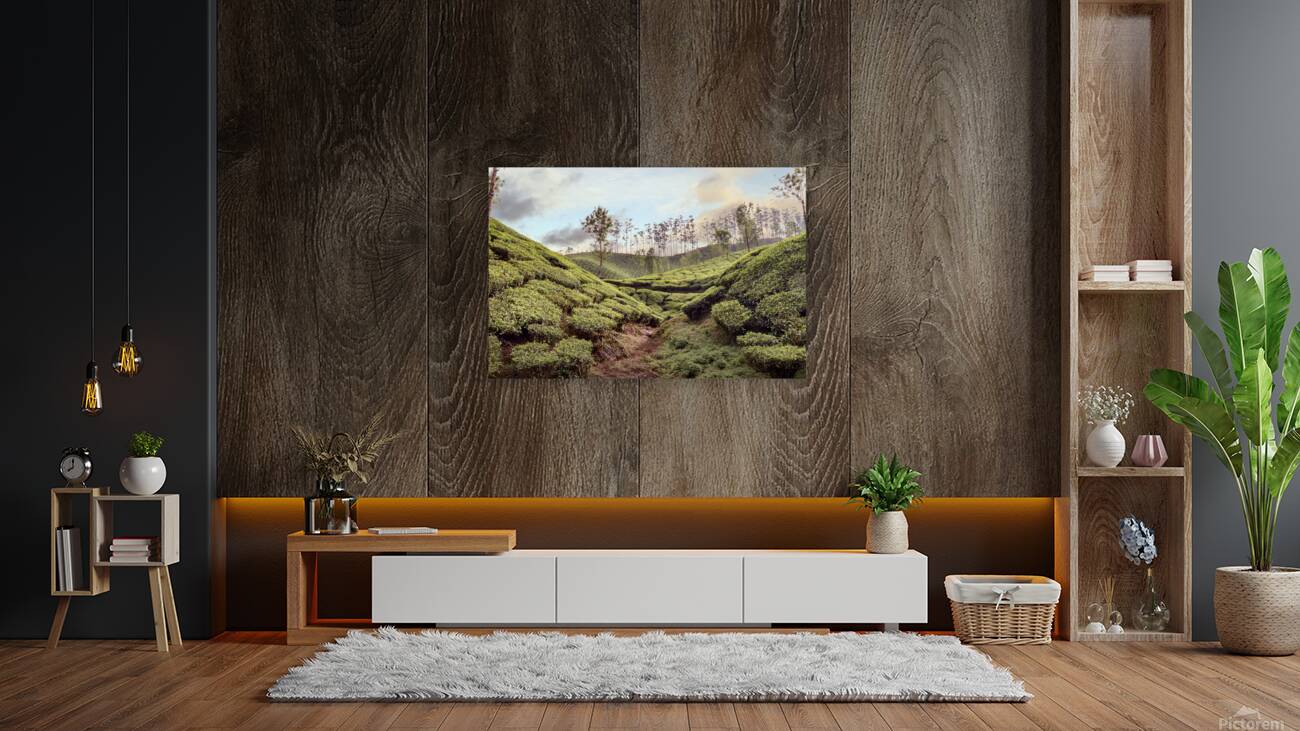 Tea Fields Reproduction