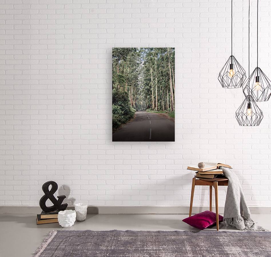Mysterious Road Reproduction