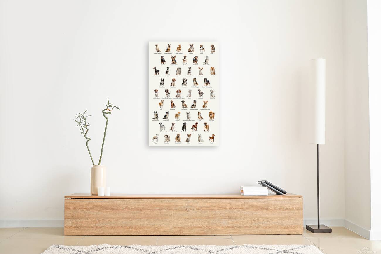 50 Dog Breeds Reproduction