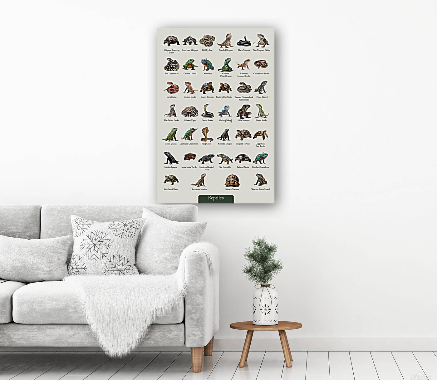 40 Reptiles Reproduction