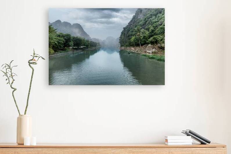 Vietnamese River Reproduction
