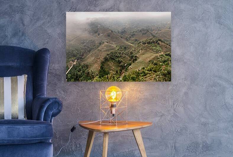 Top view of rice fields by Dekel Bar