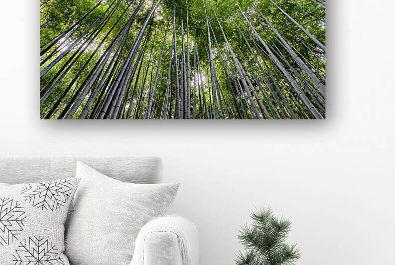 High Bamboo Trees Reproduction