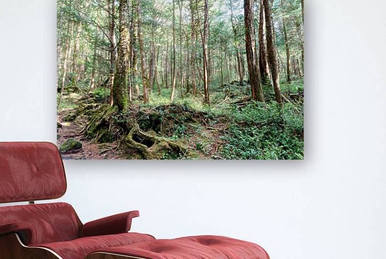 Mysterious Forest Reproduction