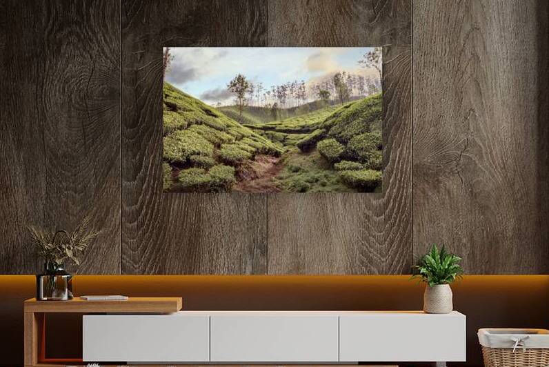 Tea Fields Reproduction