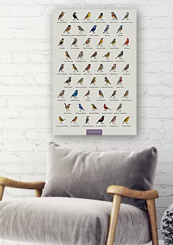 50 Common Songbirds by Dekel Bar
