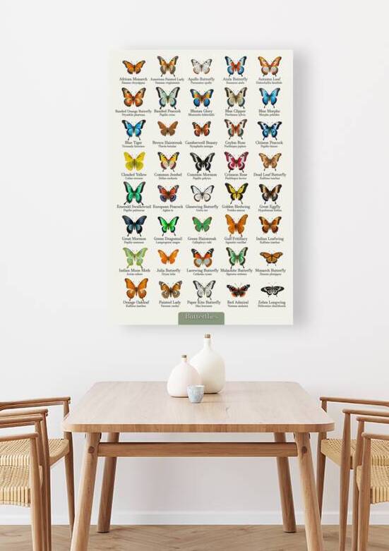 40 Beautiful Butterflies Reproduction