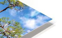 Gold Temple HD Metal print