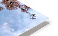 Cherry Skytree HD Metal print