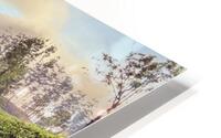 Tea Fields HD Metal print