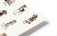 50 Dog Breeds HD Metal print