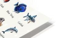 40 Aquatic Animals HD Metal print