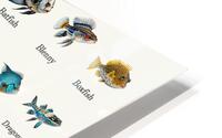 40 Ocean Fish HD Metal print