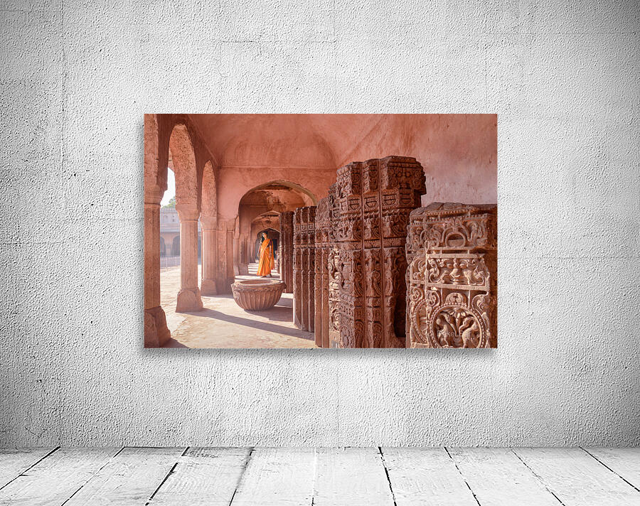 Orange Sari Wall Preview