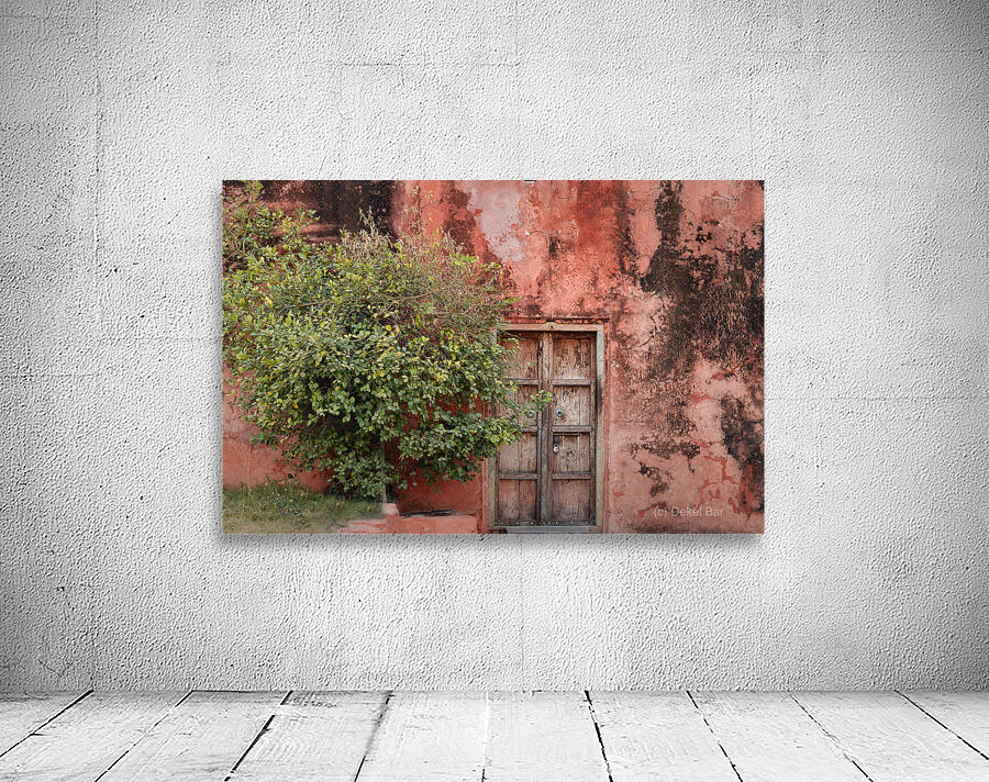 Ancient Door Wall Preview