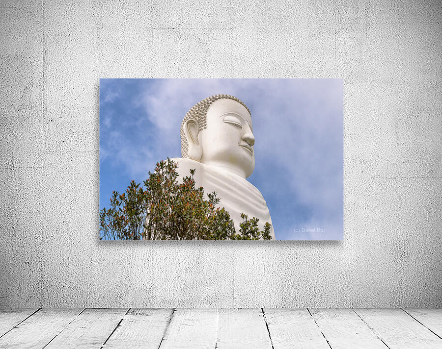 White Buddha Wall Preview