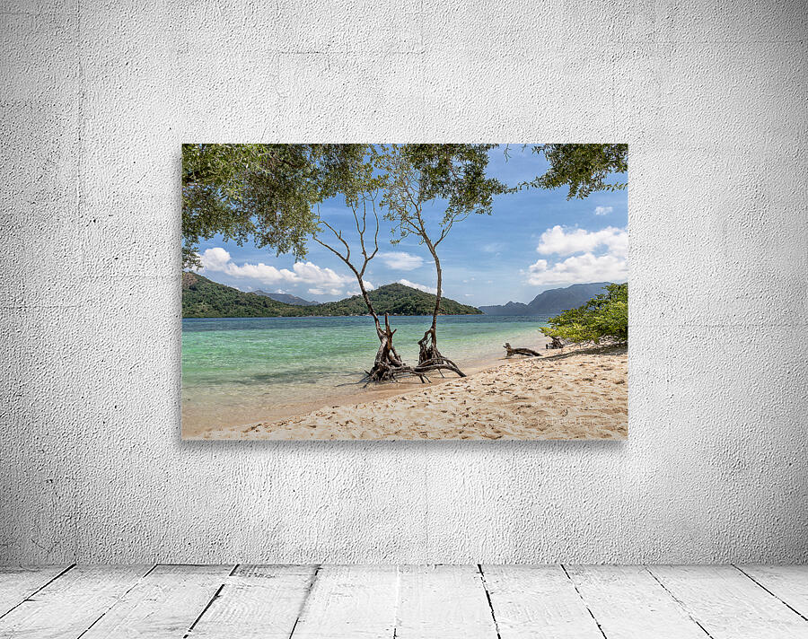 Twin Trees Wall Preview