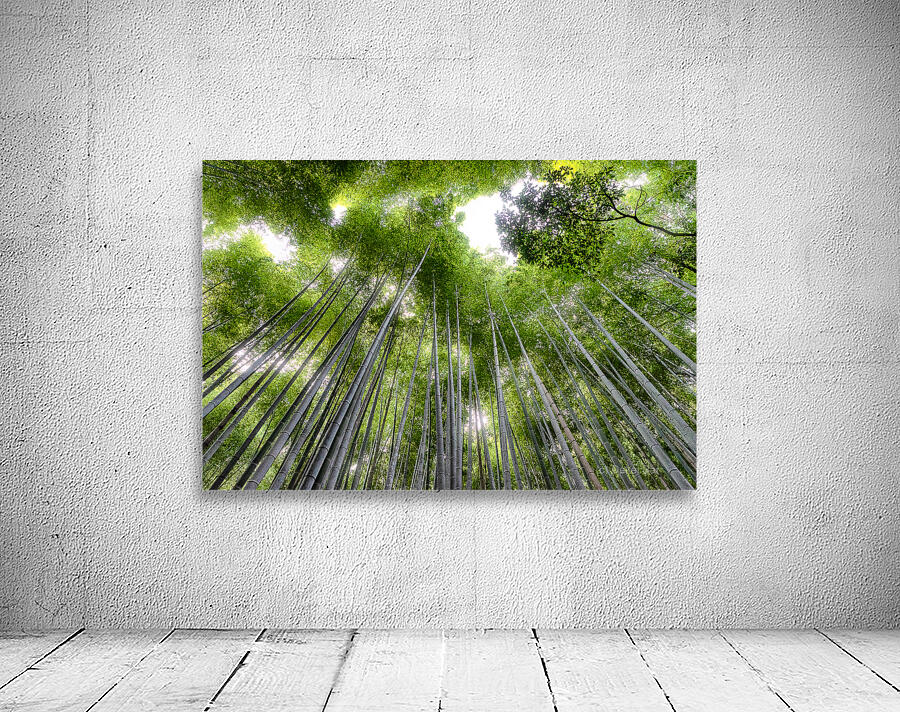 High Bamboo Trees Wall Preview
