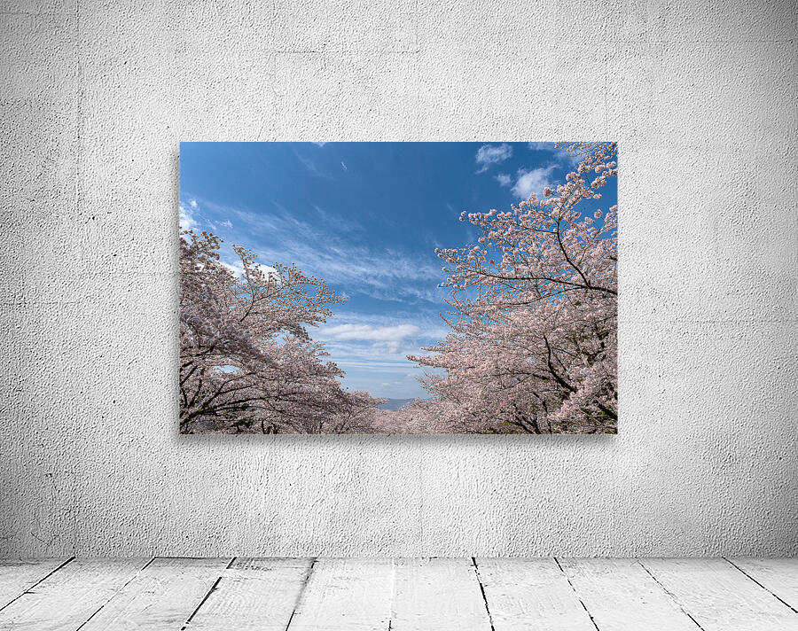 Only Blossom Wall Preview