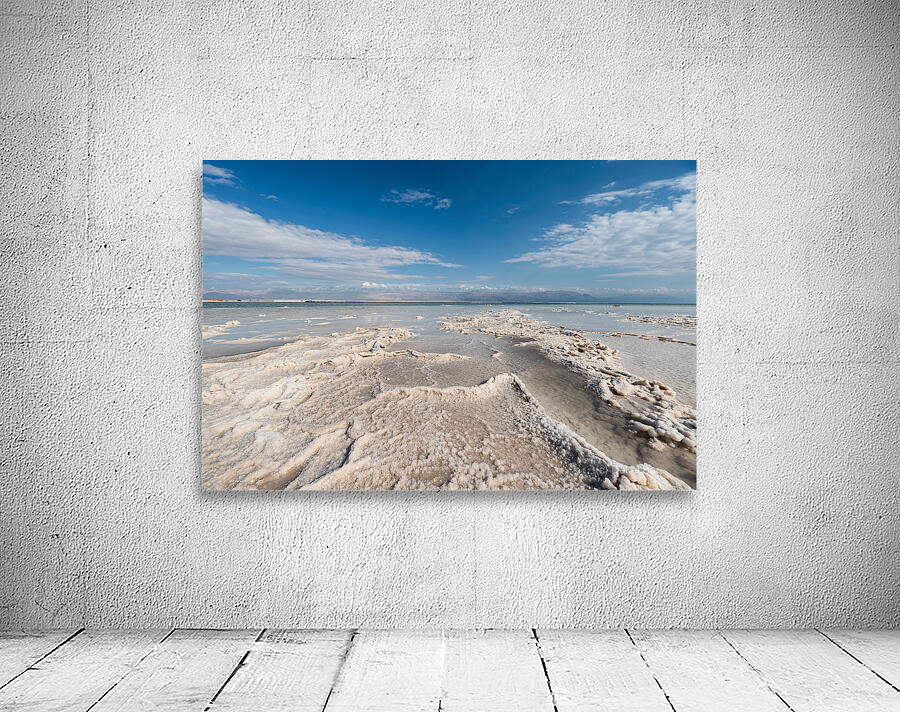 Salty Lake Wall Preview