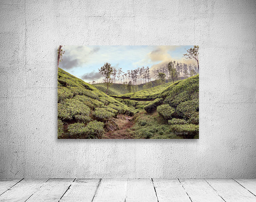 Tea Fields Wall Preview