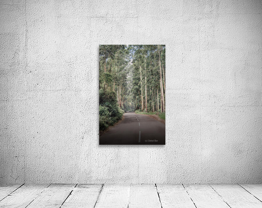 Mysterious Road Wall Preview