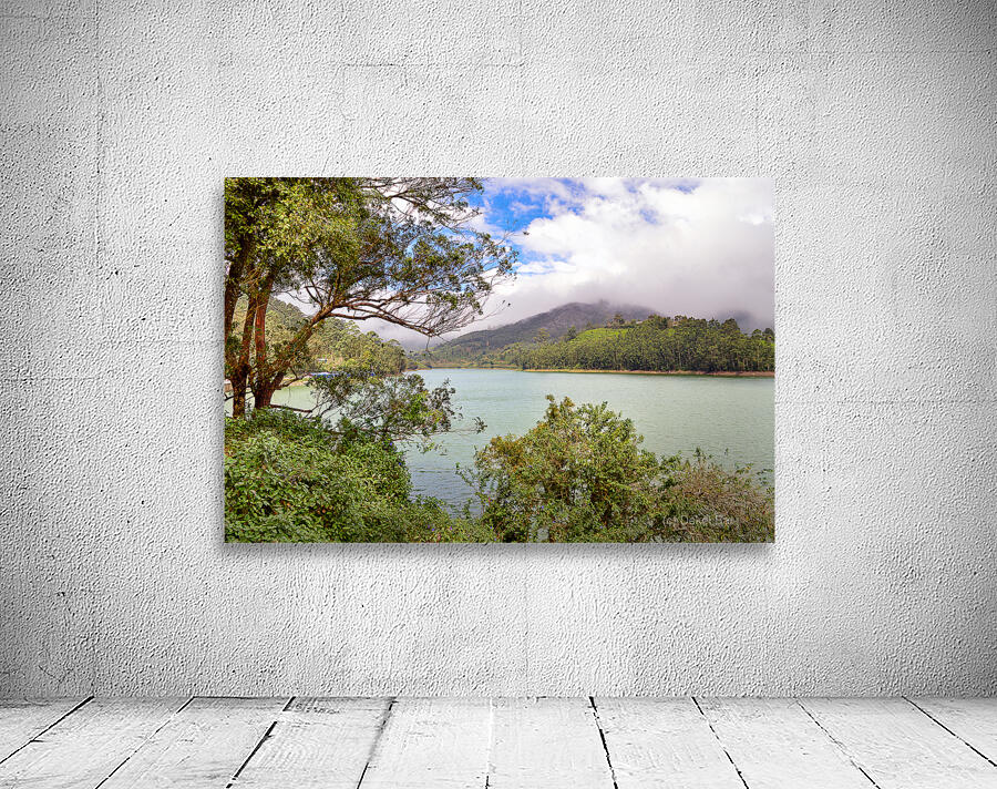A Lake in Munnar Wall Preview