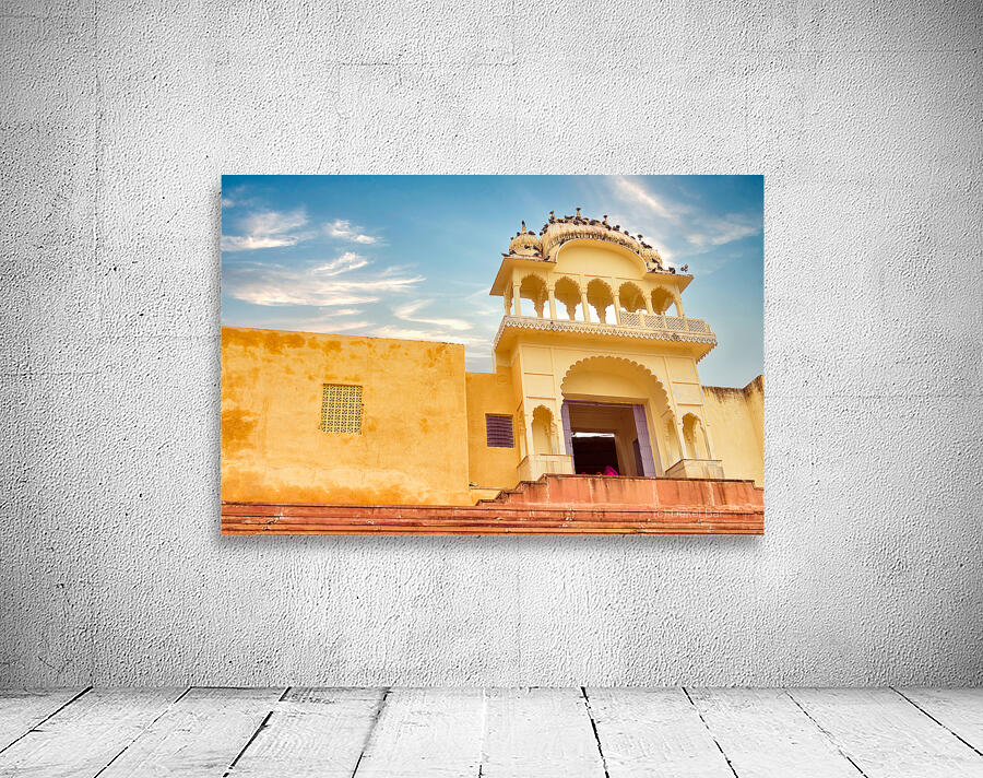 Pigeons on top Wall Preview