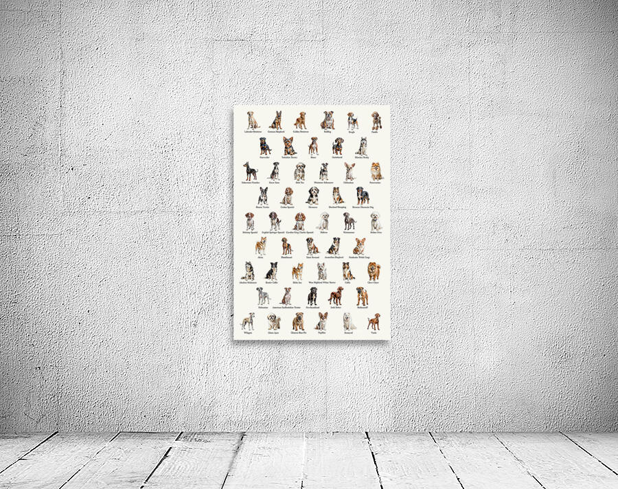 50 Dog Breeds Wall Preview